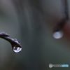 雨上がり.2