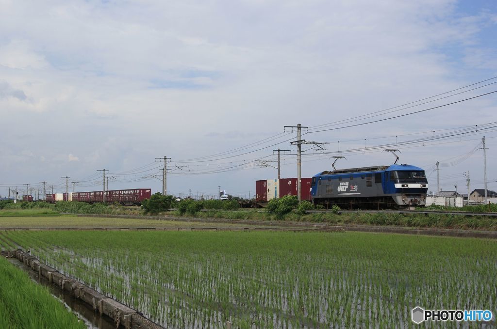 貨物列車