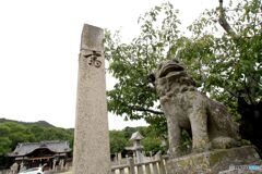 安倉八幡宮　境内入り口右側の狛犬