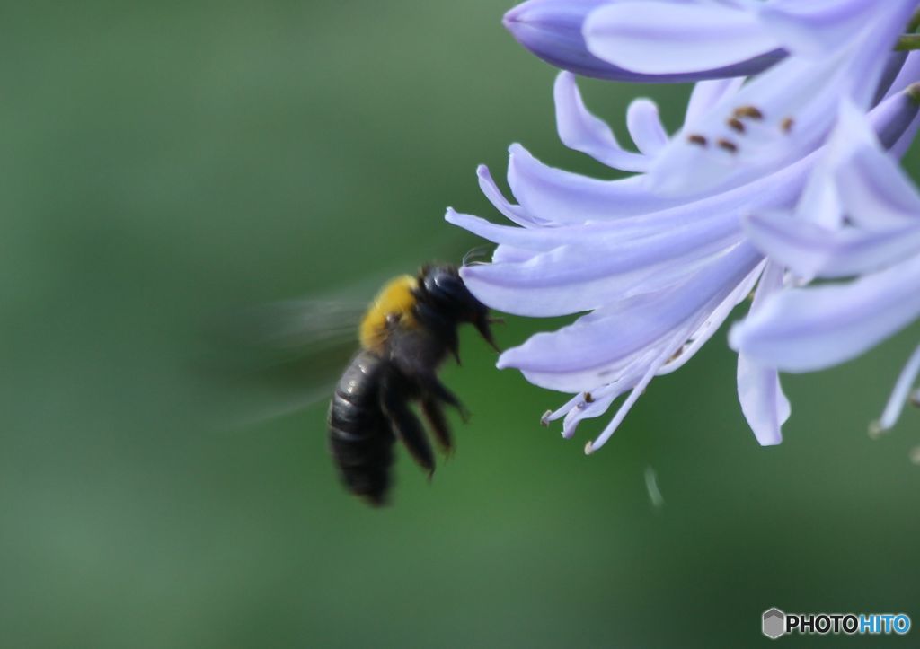 こっちの蜜は　甘いかな？