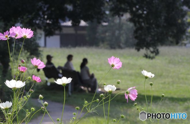 古い写真から　　初秋の日