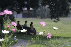 古い写真から　　初秋の日