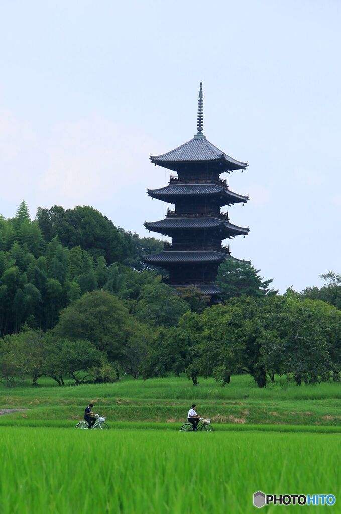 サイクリング