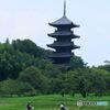 サイクリング