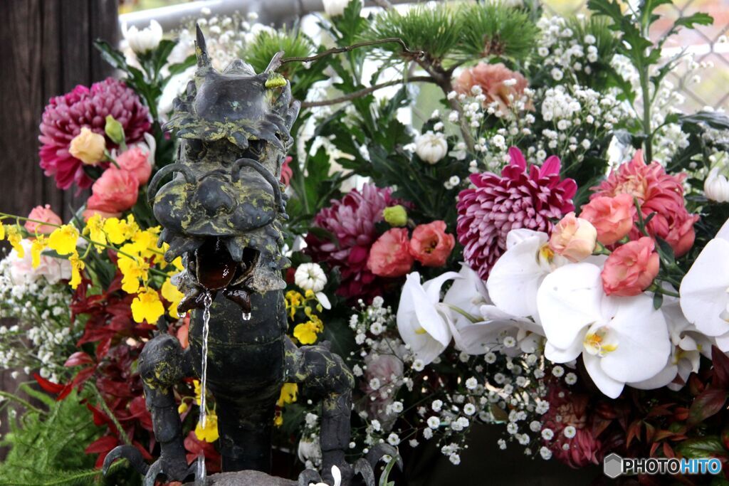 龍の手水口のお正月