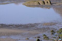 干潟の砂紋
