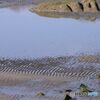 干潟の砂紋