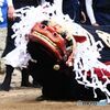 獅子が舞う