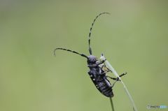 ああしんど、ちょっと休もう