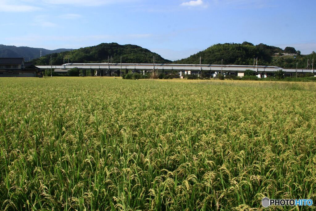 実りの秋に