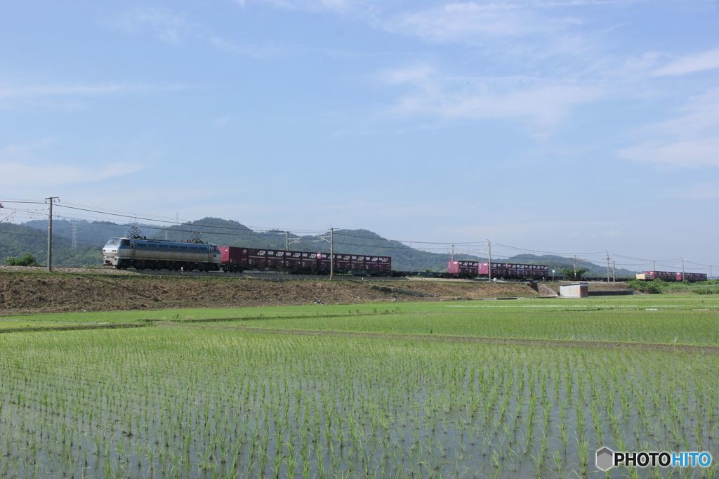 貨物列車