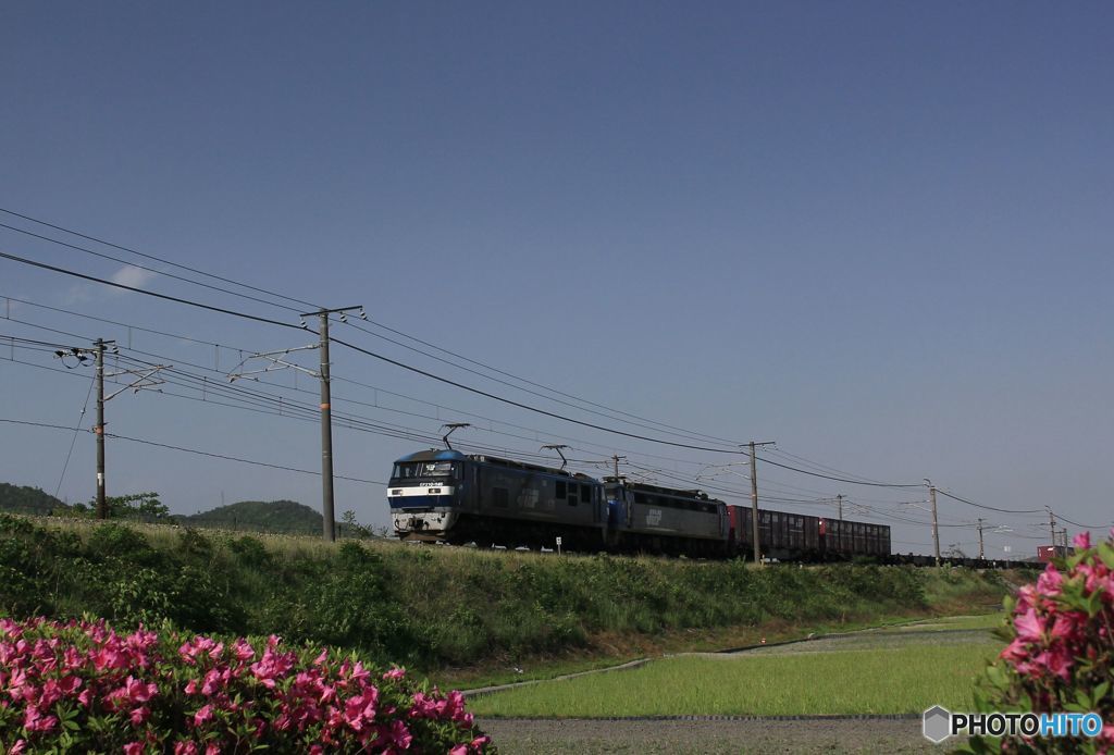 重連で下る　貨物列車