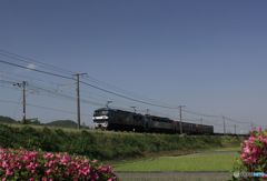 重連で下る　貨物列車