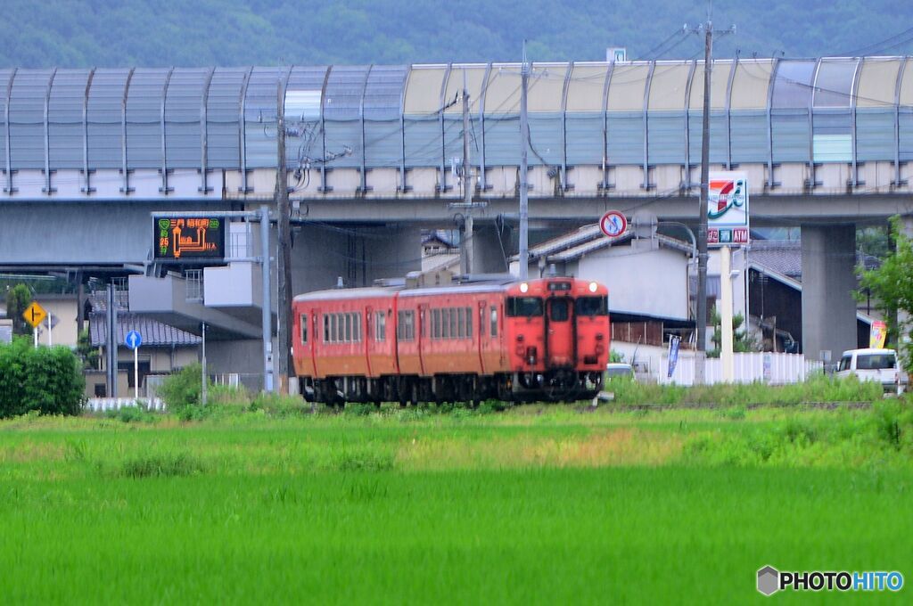 桃太郎線　たらこ列車（１）