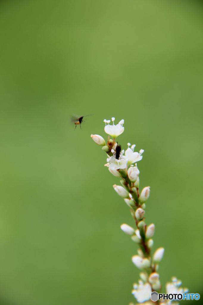 一寸先はわからない