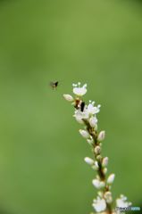 一寸先はわからない