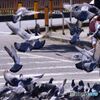 餌に集まる