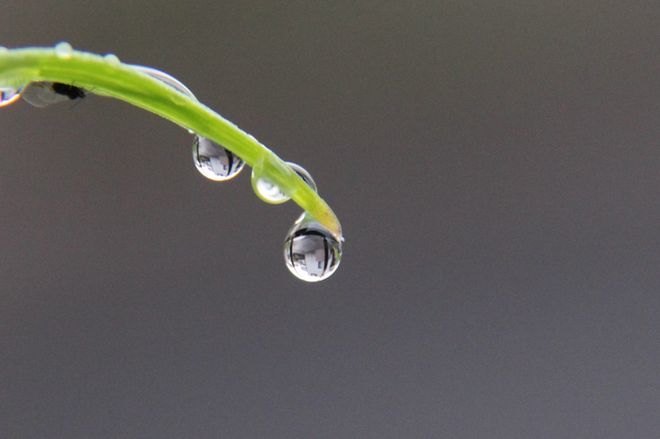 雨滴