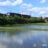 水田の横を行く