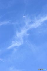 下弦の月　と すじぐも