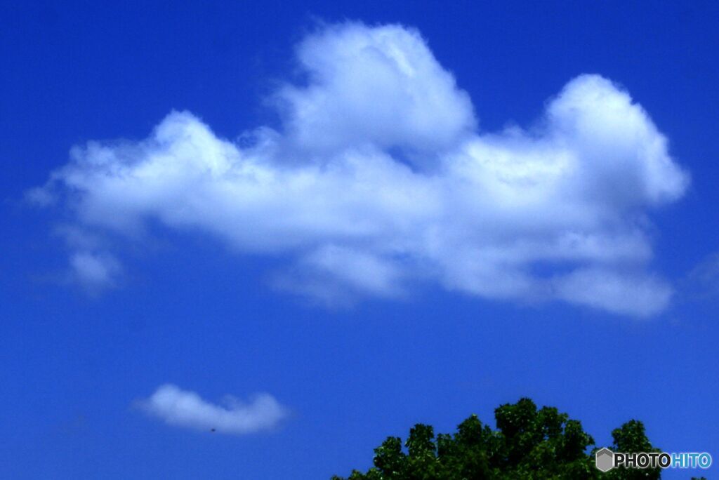 白い雲