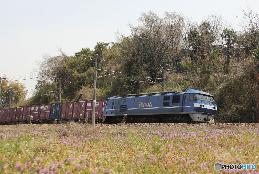 EF210-3　桃太郎
