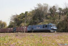 EF210-3　桃太郎