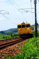 上り　普通列車　115系　Ｄ２２編成