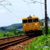 上り　普通列車　115系　Ｄ２２編成