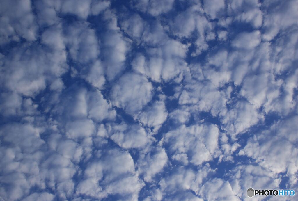 束の間の雲　　5月26日　朝