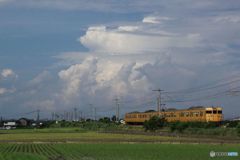 夏雲を背負って