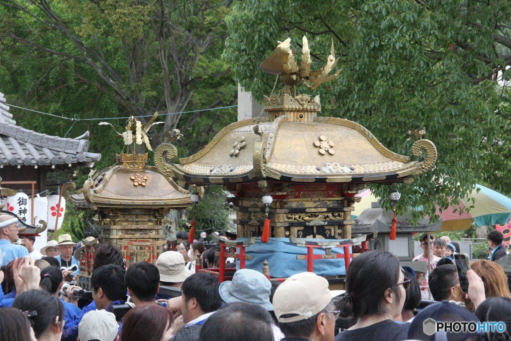 境内に入った神輿