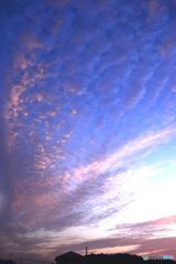 日没前の雲