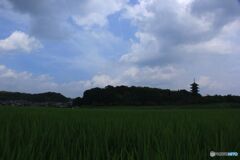 雲の下　塔を見る