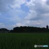 雲の下　塔を見る
