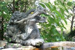 神社探訪　惣社八幡宮　手水舎の水の出口