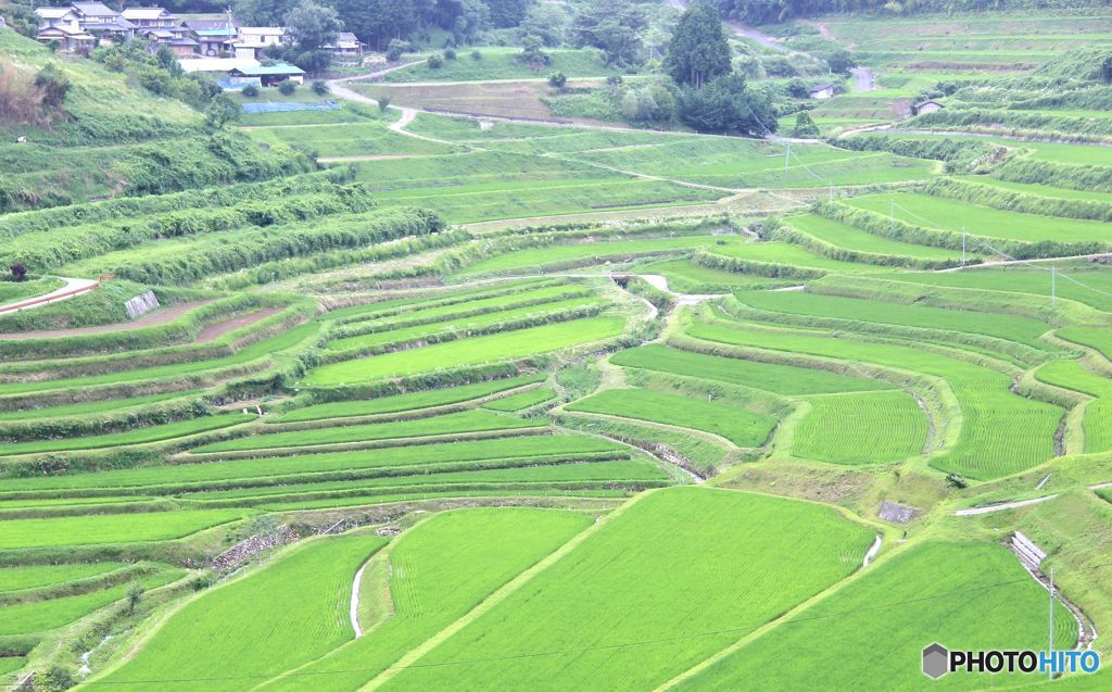 棚田の風景