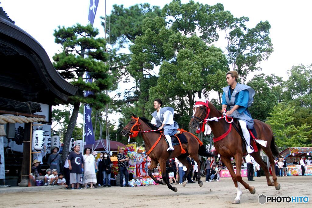 昼競馬