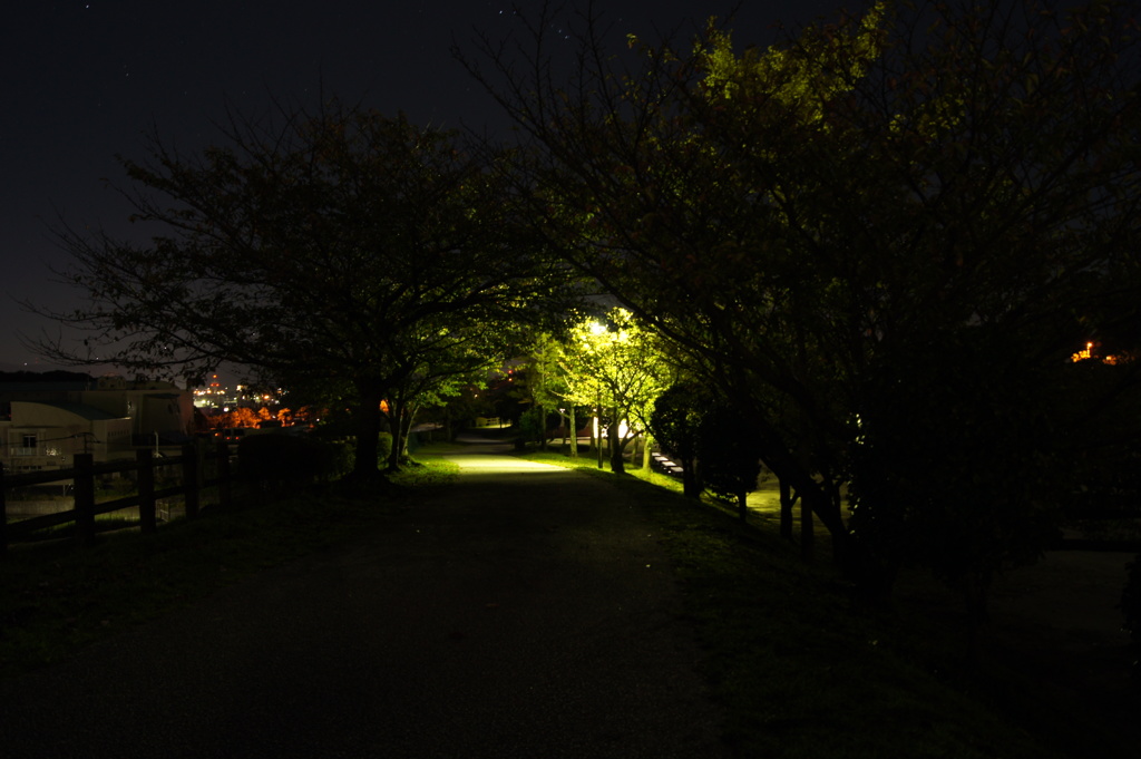 DSC03366