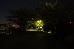 DSC03366