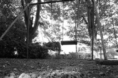 DSC03446