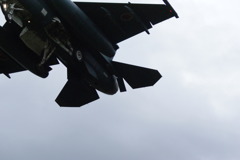 F15