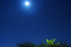 DSC03383