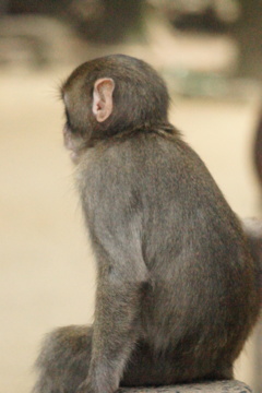 DSC01795