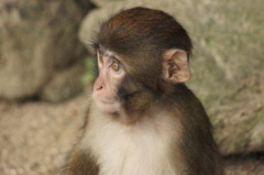 DSC01807