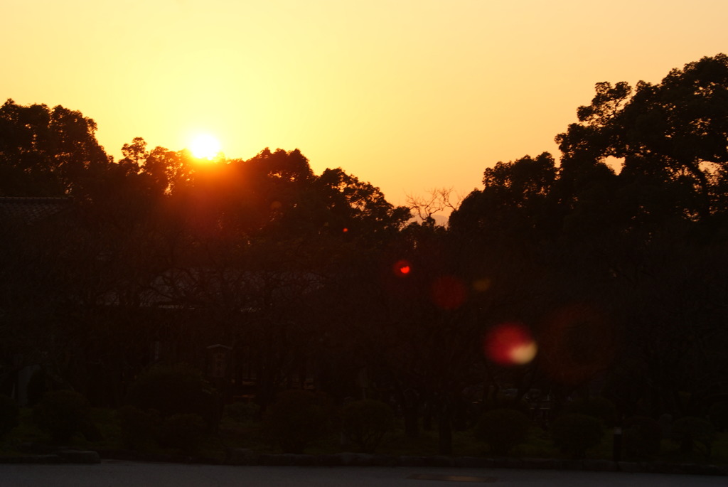 DSC00449