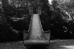 DSC03442
