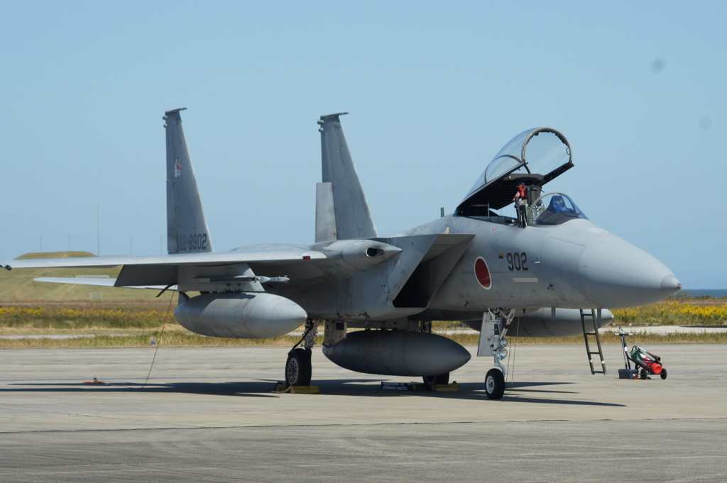 Ｆ１５