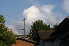 彼方に