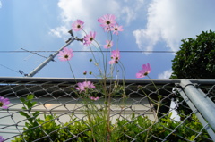 DSC03472
